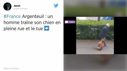 Val-d’Oise. Un homme interpellé après avoir traîné et tué son chien en pleine rue