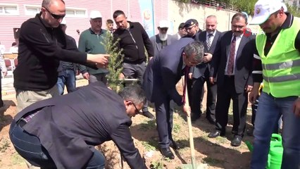 Fidan dikerken duygulanan şehit annesi: “Onları da toprağa bu fidan gibi verdik”