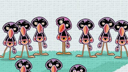 Yoko! Jakamoko! Toto! - The Migration (FULL EPISODE)