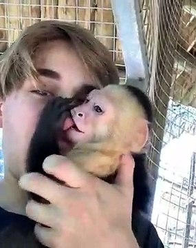 Ce bébé singe et son maître sont très complices. Trop cute !