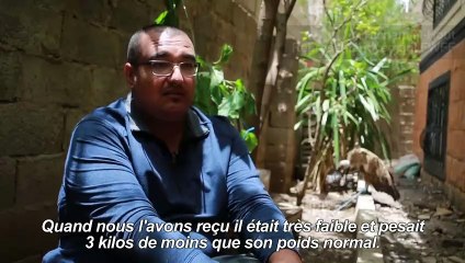 Un vautour bulgare échoué au Yémen et soupçonné d'espionnage