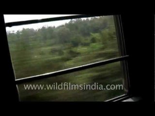 North east India from a moving train