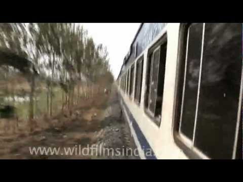 Shatabdi train passing the world by...