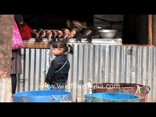 Fish stall at Mao Bazar near BOC, Kohima