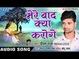 दिल का दर्द भरा गीत 2018 - Mere Baad Kya Karoge - Preetam Raja - Hindi Latest Sad Songs 2018