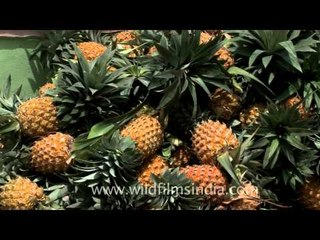 Mountain of pineapples, Thotti Palam