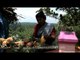 This lady cuts pineapples for tourists at Thotti Palam