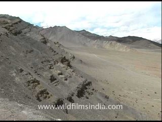 Desert Mountain valley of Spiti in Himachal