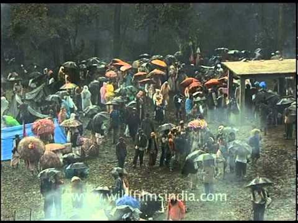 Tears of goddess Nanda Devi in the form of rain!