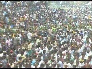 Run Ranga Run! This angry Bull is chasing us...