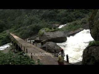 Attukal Waterfall, Munnar