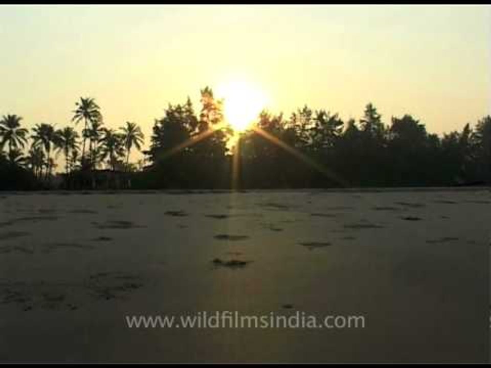 Beach in Goa...