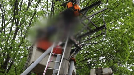 나무 자르다 고압 전기 감전...1명 중상 / YTN