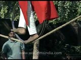 Indian tight rope walker!