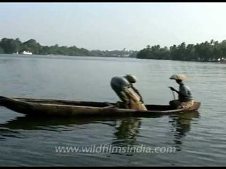 Fishermen of Kerala backwaters!