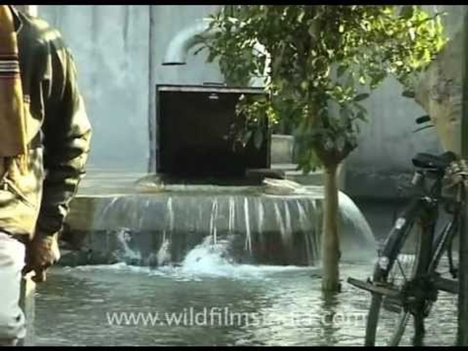 Wastage of water in the Capital of India!!