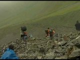 Devotees face a tough time at Nanda devi Raj-jat!