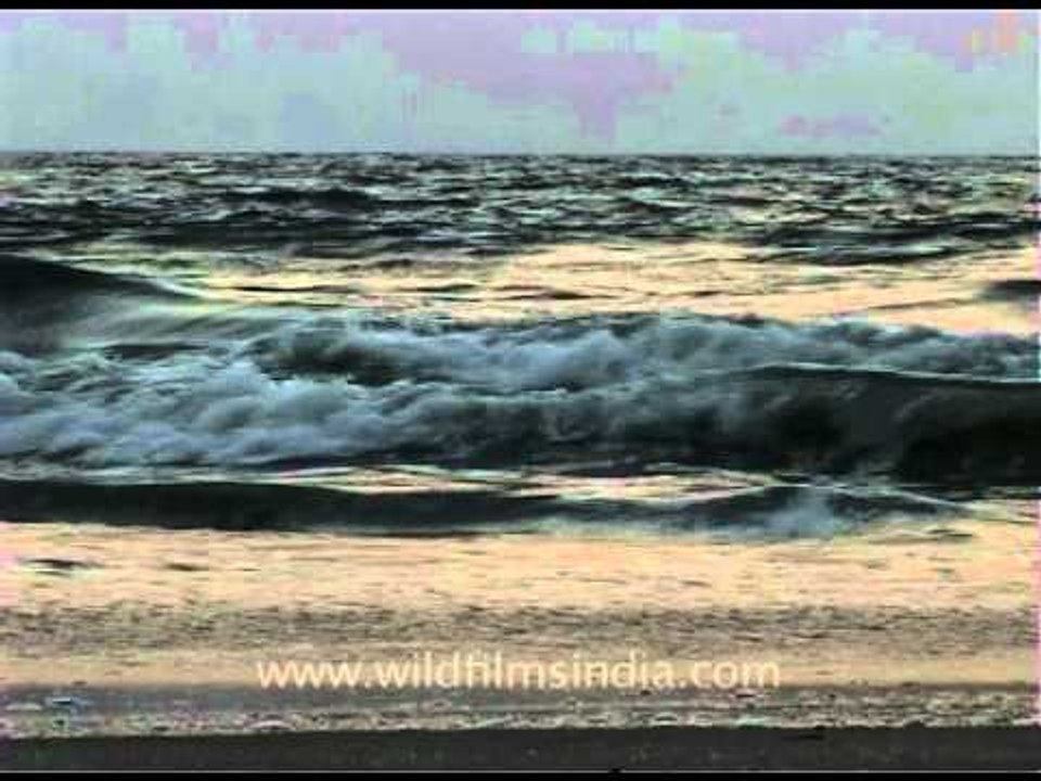 The backwaters of Cochin in Kerala, South India