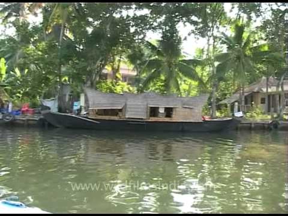 Houseboat tours to explore backwaters of Kerala!
