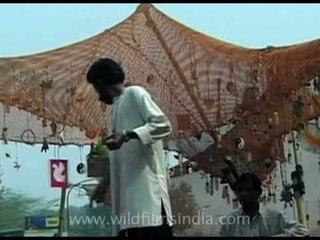 Eye catching performance... do not blink!!!