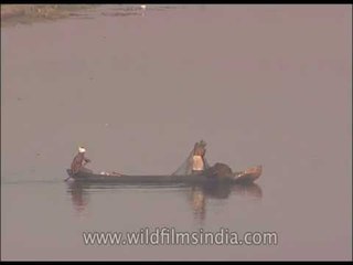 Fisherman throwing nets near Kochi, Kerala