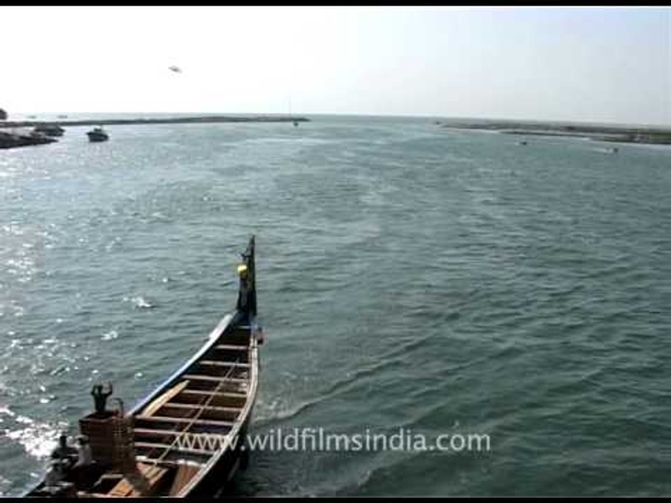 Boats in the backwaters of Kerala