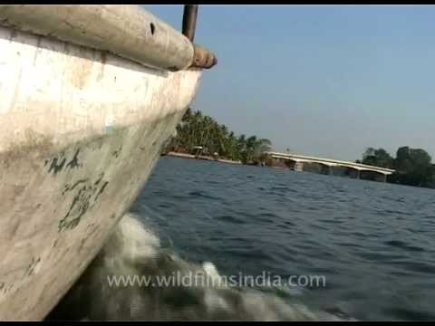 Floating through the backwaters of Kerala on a boat!