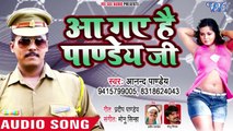 आ गए है पाण्डेय जी - Aa Gaye Hain Pandey Ji - Anand Pandey - Bhojpuri Hit Songs 2018