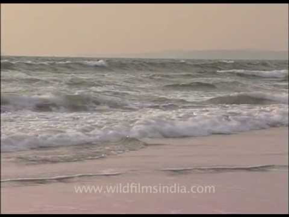 White sea waves splashing on Goa shores