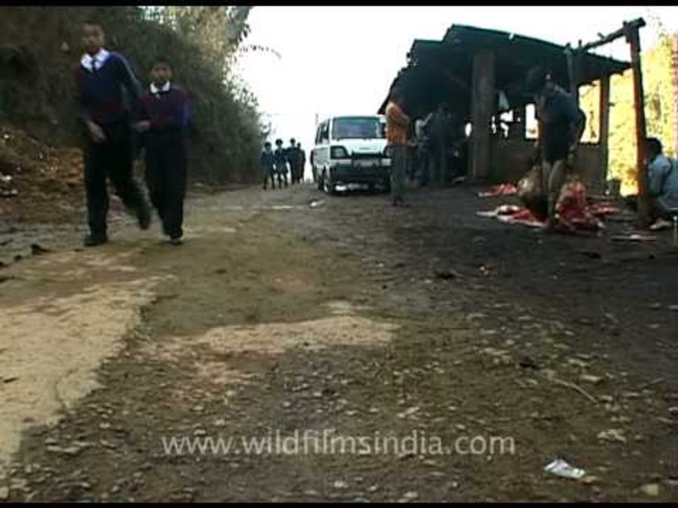 School kids pass by the butcher's work place