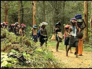 Devotees trek through dense forest to reach Sabarimala
