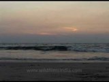 Cochin beach with waves washing ashore