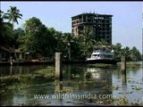 Cruise along Kochi backwaters