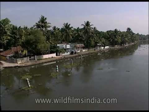 Serene and scenic backwaters of Kerala