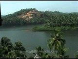 Picturesque landscape of Kerala!