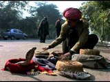 Snake charmers' street performance in Delhi