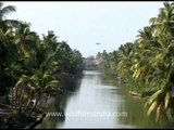 Like a painted picture - Kerala backwaters