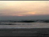 Evening sea waves in Cochin beach!