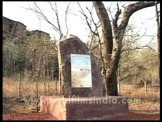 Prehistoric Rock Shelters of Bhimbetka, Madhya Pradesh
