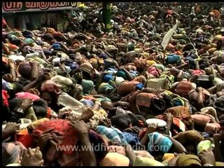 Thousands gather for one Lord - Ayappan in Sabarimala