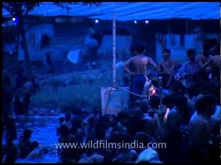 Devotees immerse in river Pampa