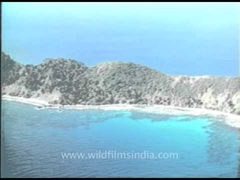 Exquisite aerial view of the Andamans and Nicobar