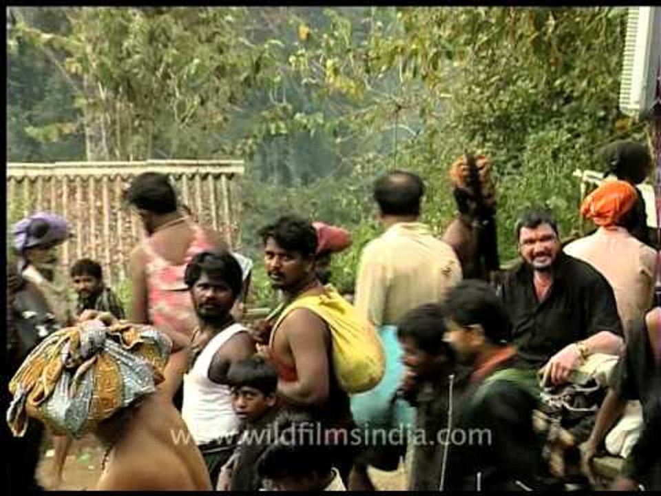 Droves of people at the Sabarimala pilgrim