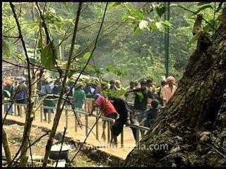 Gathering of the Lord Ayappans' devotees!