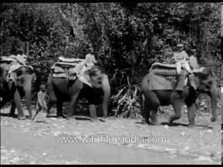 Old shikar video from the days of the British Raj in India