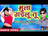 Niraj Singh Chandravanshi का सबसे नया हिट रोमांटिक गाना 2019 - Bhula Gailu Tu - Bhojpuri Hit Song
