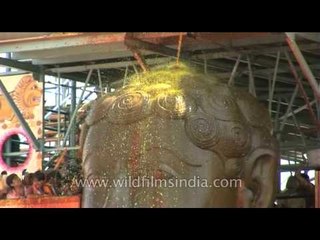 Devotees pour haldi or turmeric water onto Shravanabelagola's statue