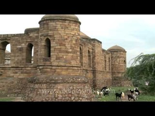 Tomb of the bygone era - Sultan Ghari!