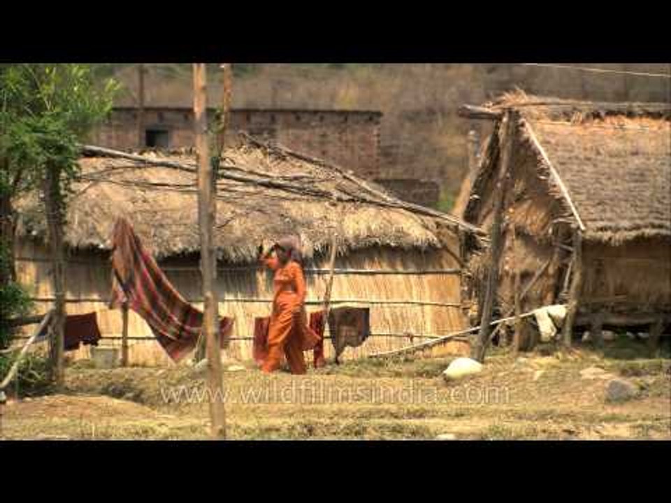 Thatched huts of villagers near Corbett