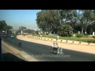 Bangalore's wide open tree-lined roads